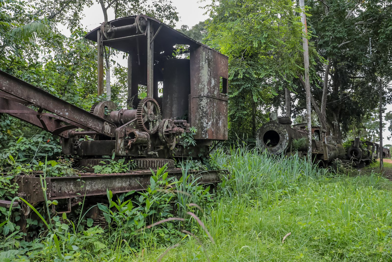 A estimativa é de que sejam feitas incursões quinzenais 